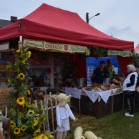 Zobacz w powiększeniu: Dożynki Powiatowe Baranów 2021 (18)